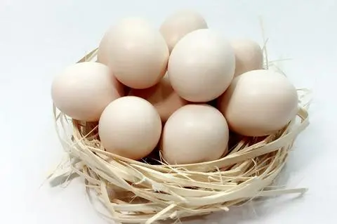 Hình ảnh trứng gà ta