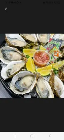 Hình ảnh hàu sống 12 con