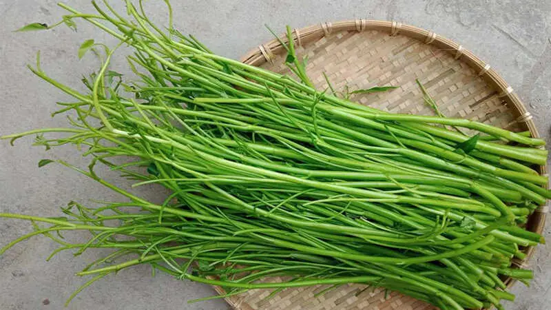 Hình ảnh rau muống