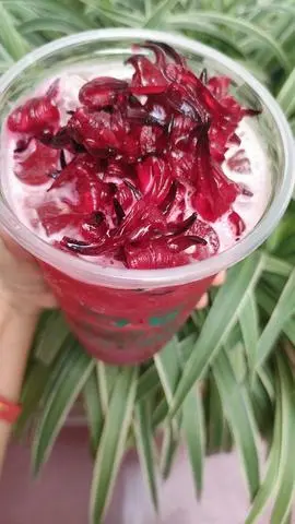 Hình ảnh Trà hoa astiso Chanh Leo - M