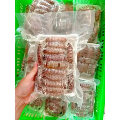 Hình ảnh Tôm Tít (Bề Bề) 500g, Thịt Tôm Tích Nõn Bóc Vỏ Sẵn Thơm Ngon Nấu Các Món