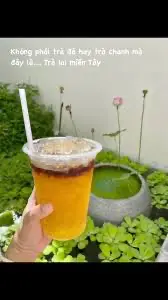 Hình ảnh Trà lai miền tây