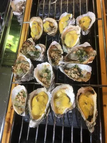 Hình ảnh combo 20 Con Hàu 