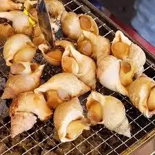 Hình ảnh ốc pulot nướng mọi