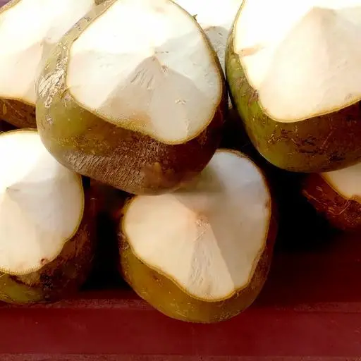 Hình ảnh Dừa tươi