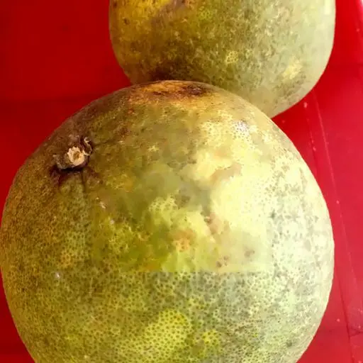 Hình ảnh Ép bưởi
