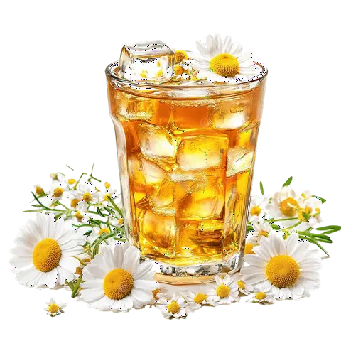 Hình ảnh Trà hoa cúc