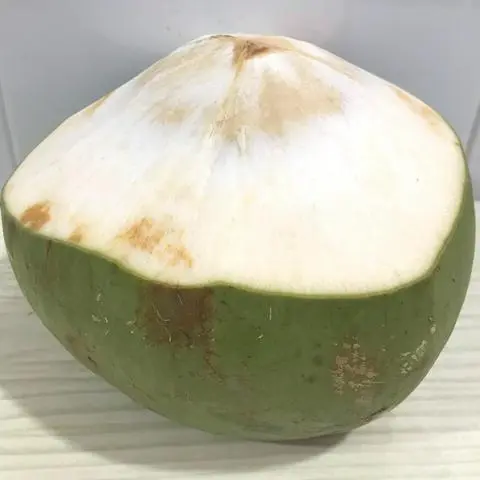 Hình ảnh Dừa xiêm - không lạnh