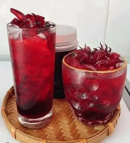 Hình ảnh Trà Việt Quất & Hoa Atiso đỏ 