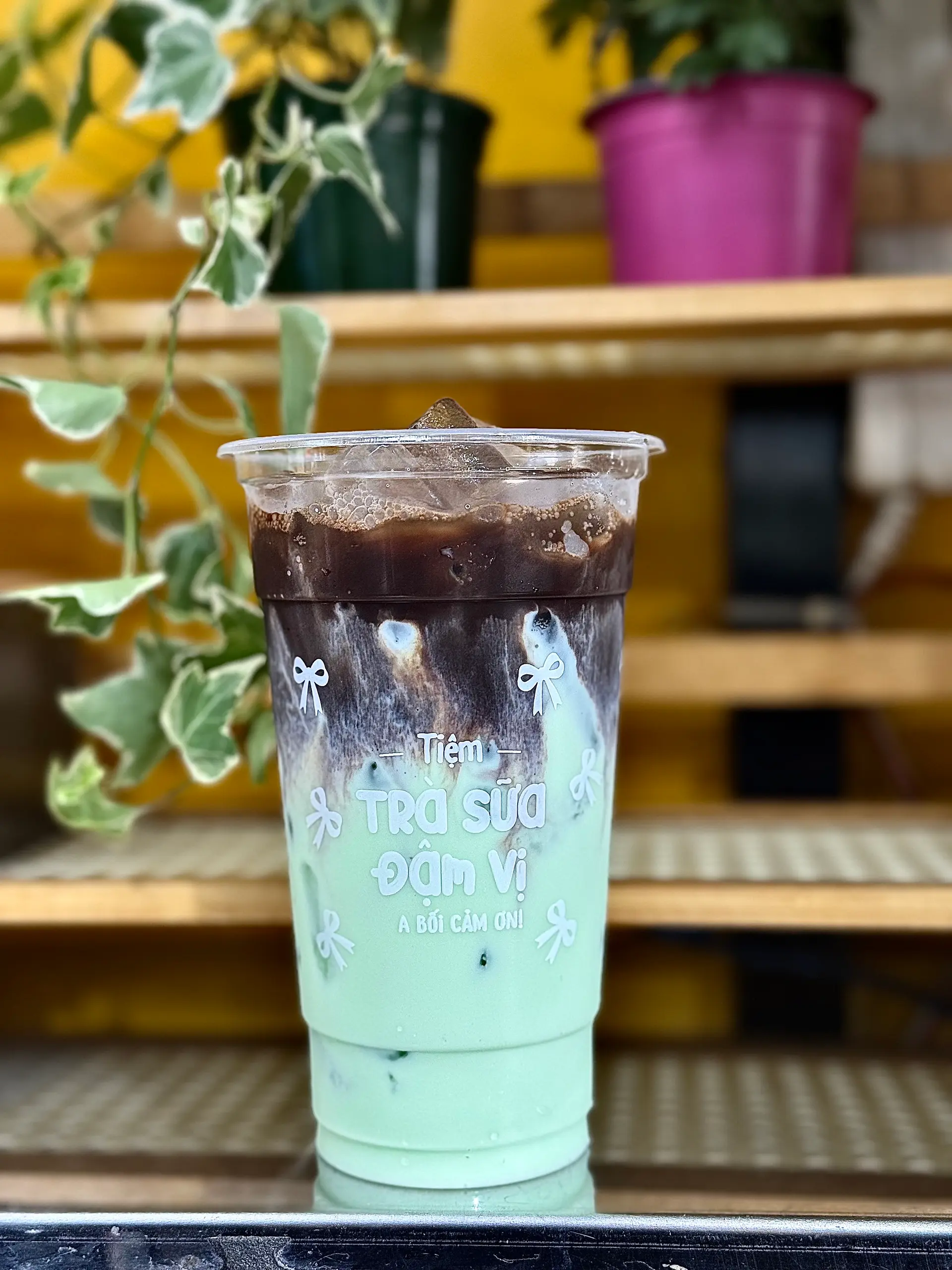 Hình ảnh Cacao chocomint