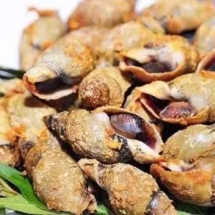 Hình ảnh Ốc cà na rang muối