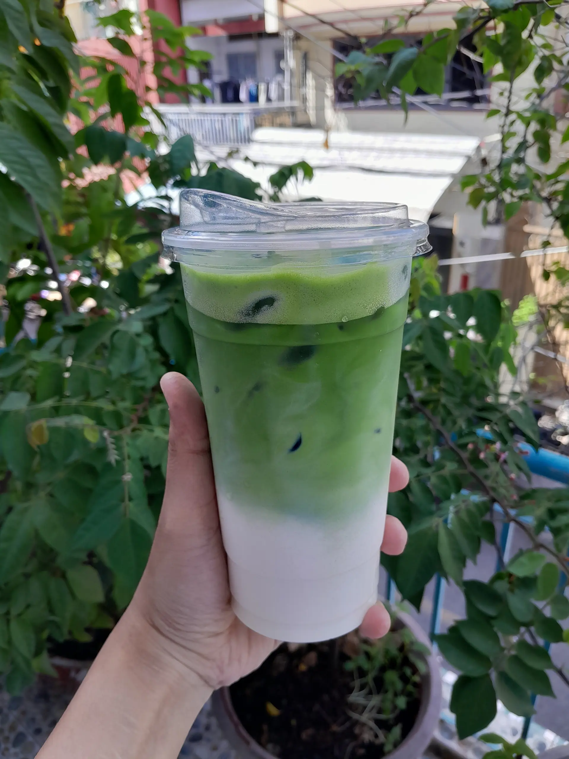 Hình ảnh Matcha Latte