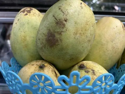 Hình ảnh Nước ép xoài