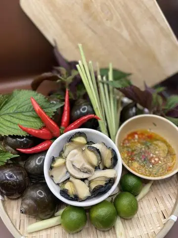 Hình ảnh Ốc to thêm