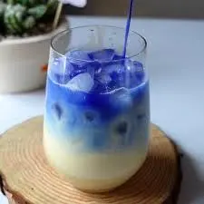 Hình ảnh SÂM DỨA SỮA ĐẬU BIẾC 