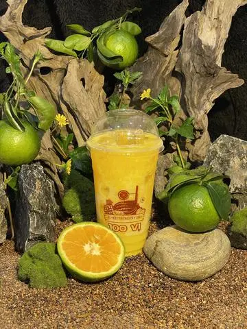 Hình ảnh Cam - Sữa