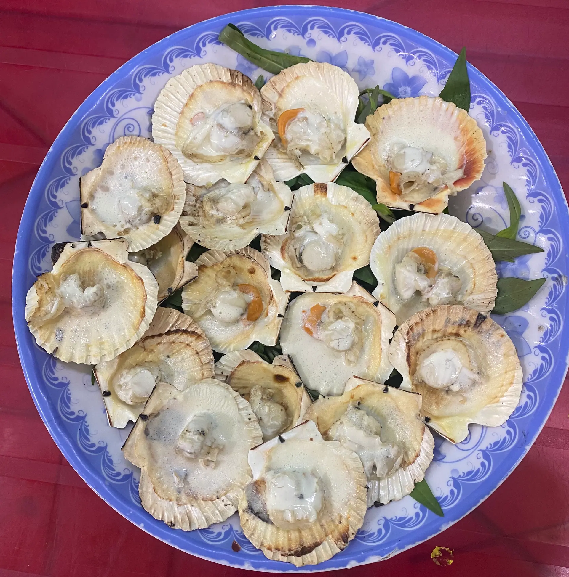 Hình ảnh điệp nướng phô mai 