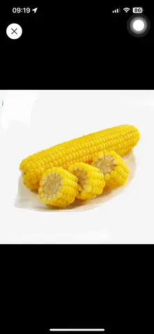 Hình ảnh Bắp Mỹ Hấp Lá Dứa- 1 trái