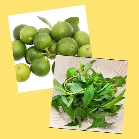 Hình ảnh Rau Răm + 6 Trái Tắc