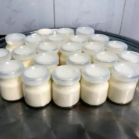 Hình ảnh Yaout nhà làm dẻo