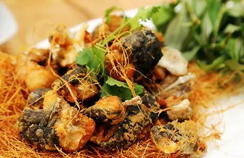 Hình ảnh Ếch núp lùm