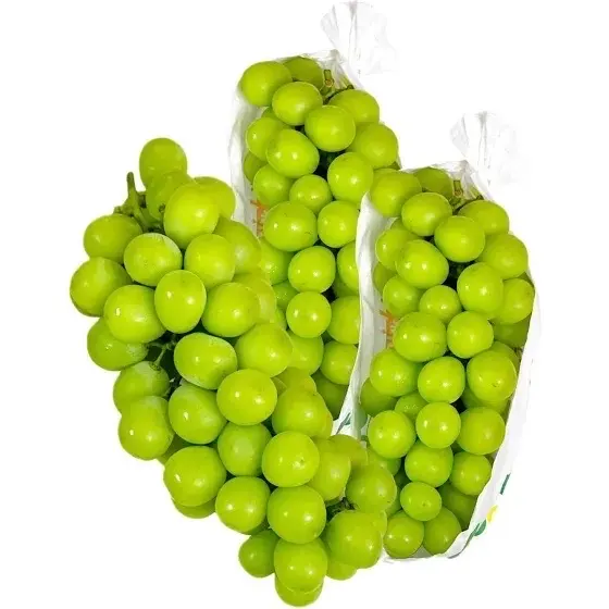 Hình ảnh Nho mẫu đơn ( hộp 500gr )