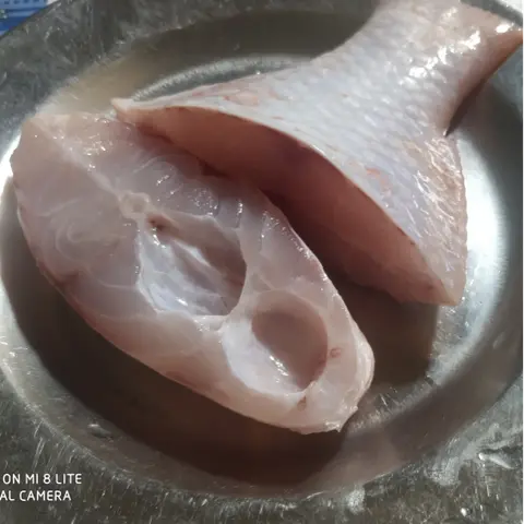 Hình ảnh Cá Điêu Hồng Thêm