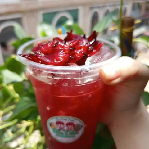 Hình ảnh TRA HABICUS