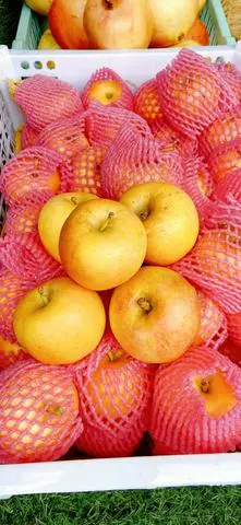 Hình ảnh Táo