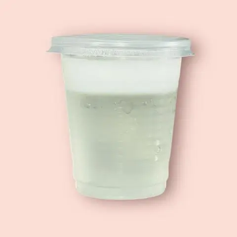 Hình ảnh ( NEW) Rau Câu Dừa Original