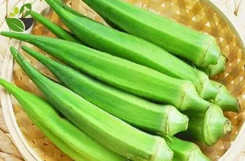 Hình ảnh Đậu bắp