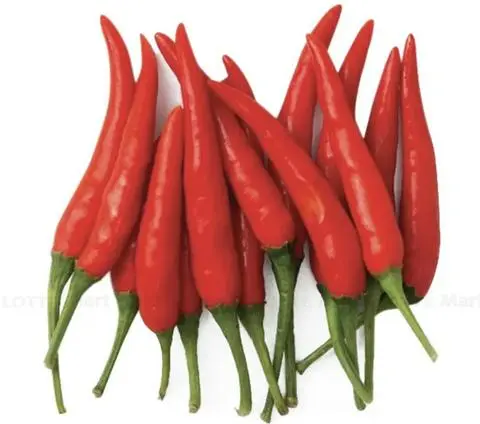 Hình ảnh ỚT