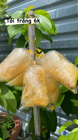 Hình ảnh Bánh tráng tỏi trắng