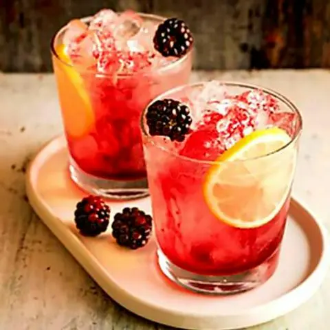 Hình ảnh Soda Trái Mâm Xôi Đỏ Mọng Hỷ Tâm
