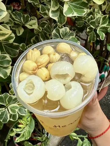 Hình ảnh Trà Lài Sen Nhãn