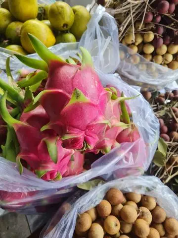Hình ảnh thanh long