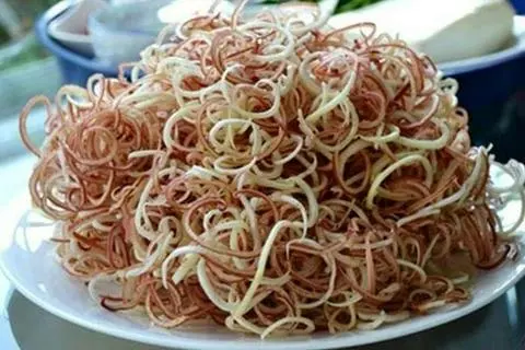 Hình ảnh HOA CHUỐI