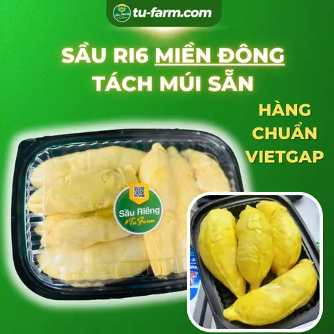 Hình ảnh Sầu riêng Ri6 Miền Đông-1kg (tặng kem sầu riêng nhỏ)