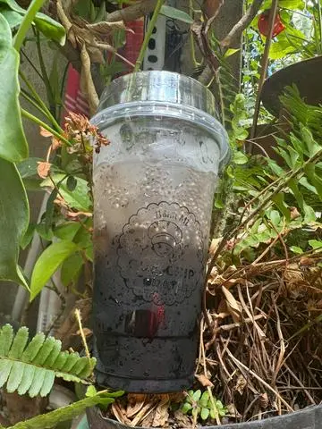 Hình ảnh sương sáo hạt chia
