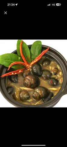 Hình ảnh Ốc Bươu hấp thái