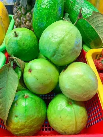 Hình ảnh Nước Ép Ổi - Ly 