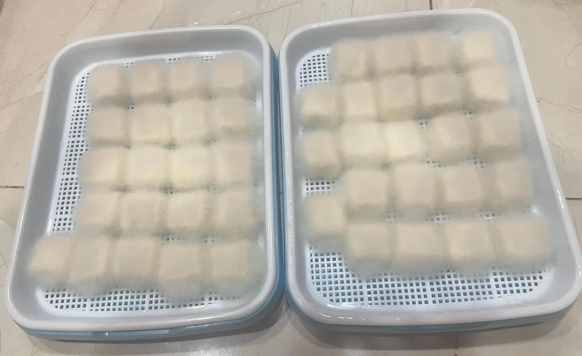 Hình ảnh Đậu hủ lông ( moldy tofu) 
