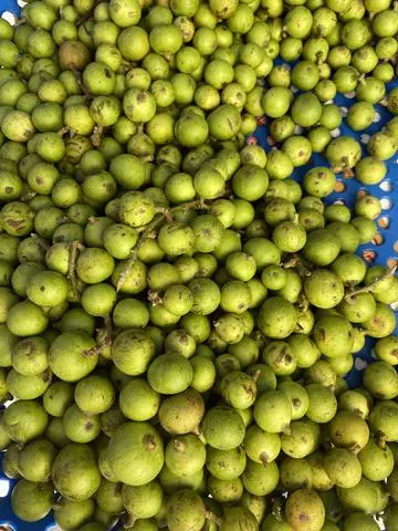 Hình ảnh SUNG NẾP 500gr 