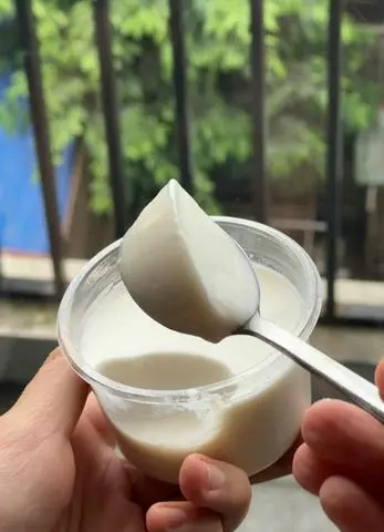 Hình ảnh sữa chua nhà làm