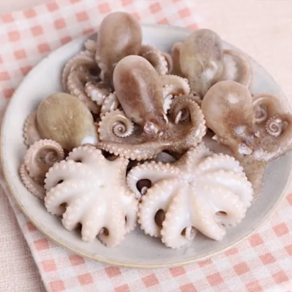 Hình ảnh Bạch Tuộc 
