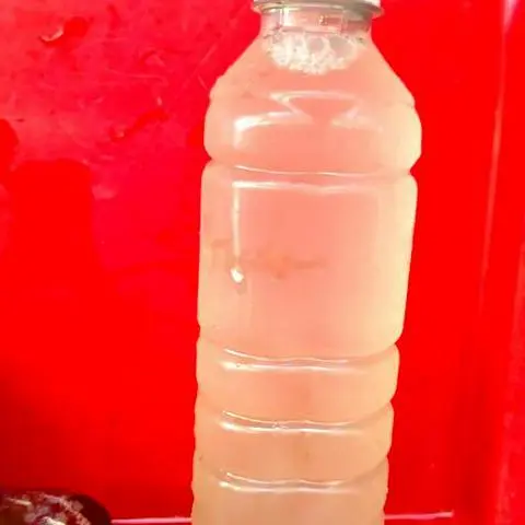 Hình ảnh Nha đam