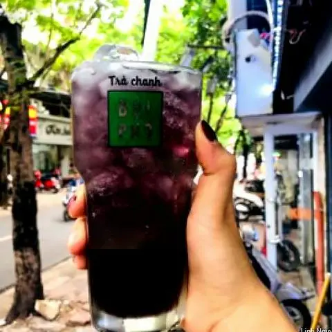 Hình ảnh Trà Việt Quất