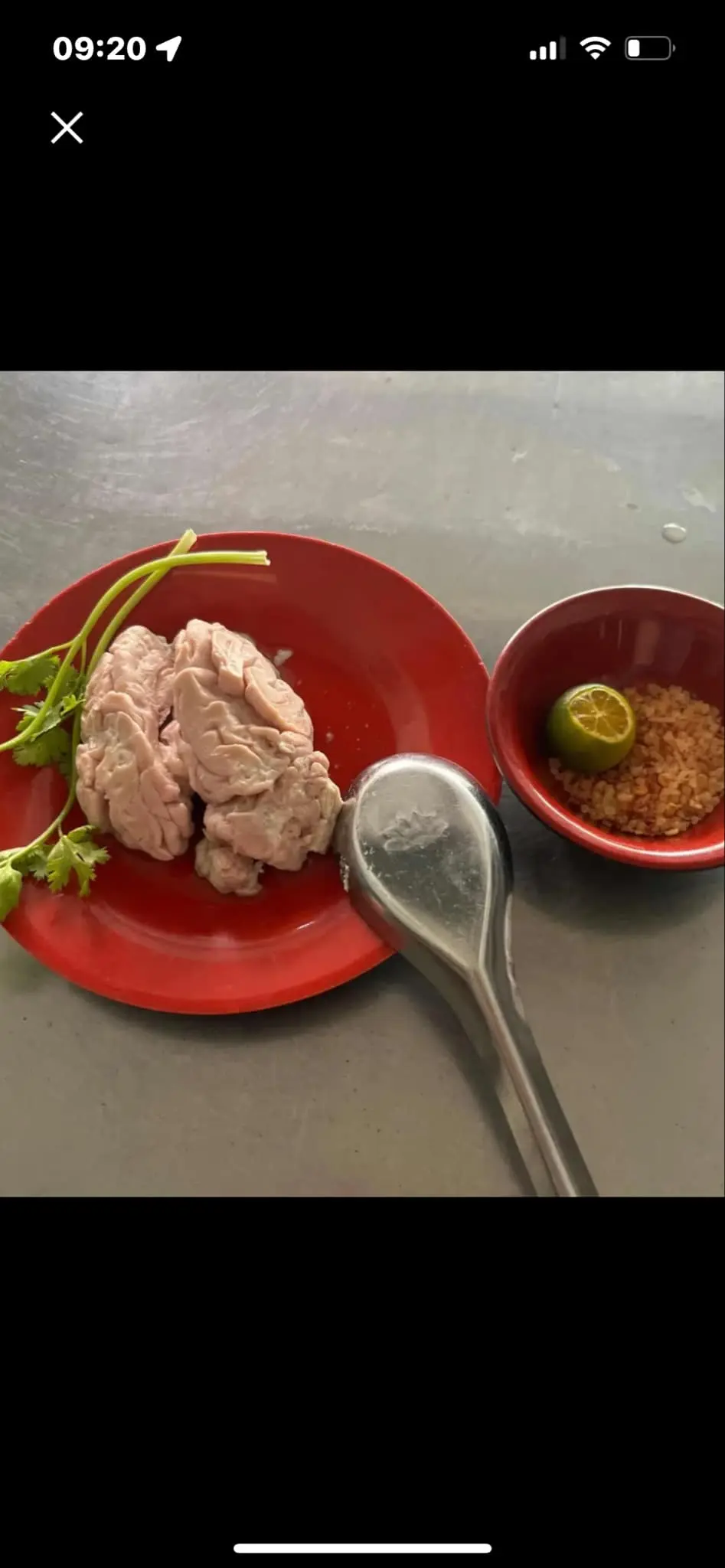 Hình ảnh óc heo thêm 1bộ 