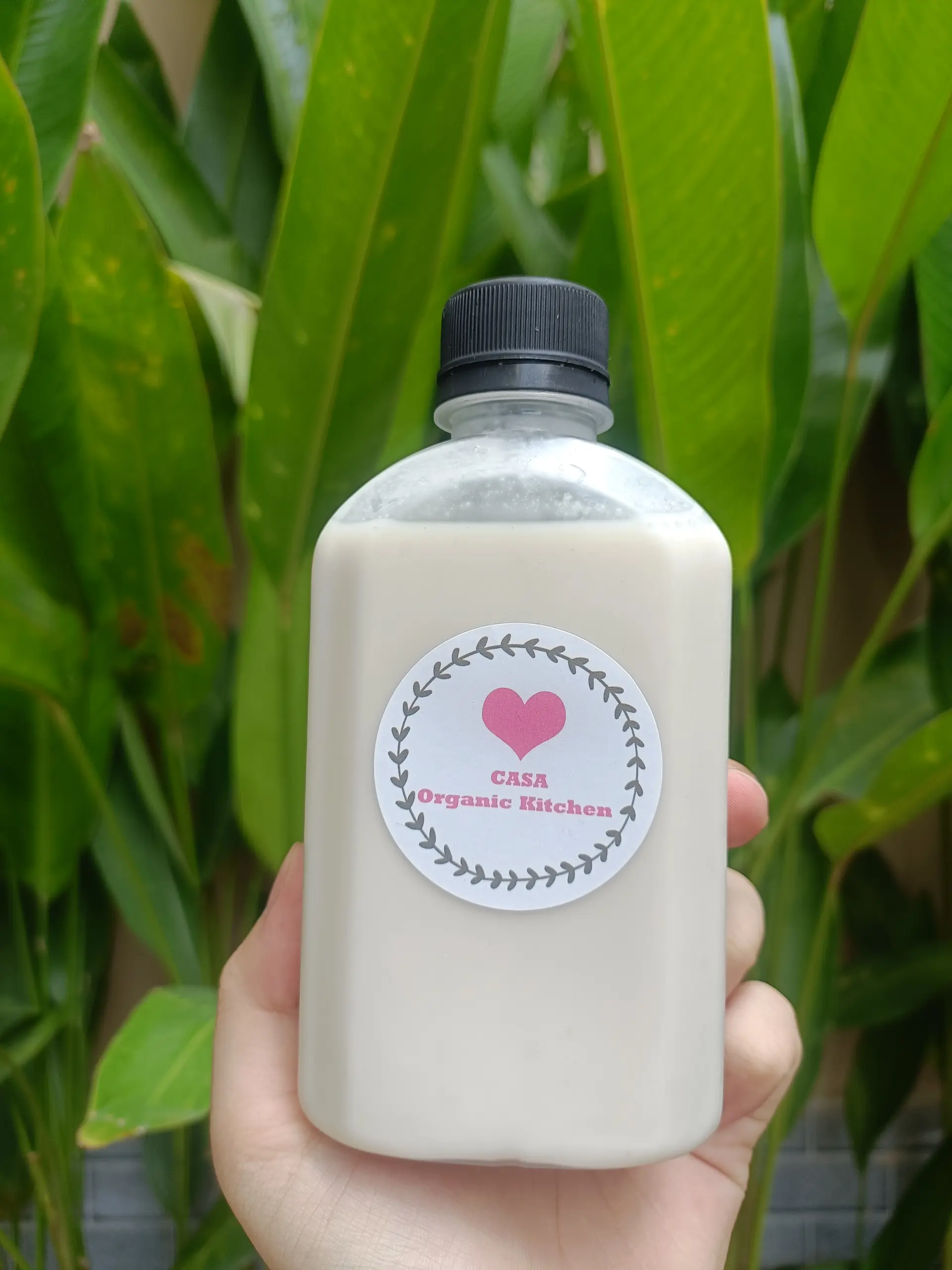 Hình ảnh Sữa hạt điều mix dừa hữu cơ vegan