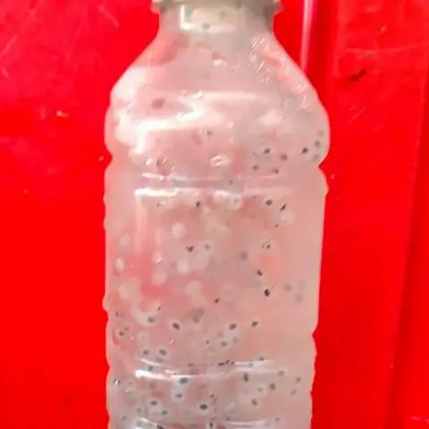 Hình ảnh Mủ trôm hạt é
